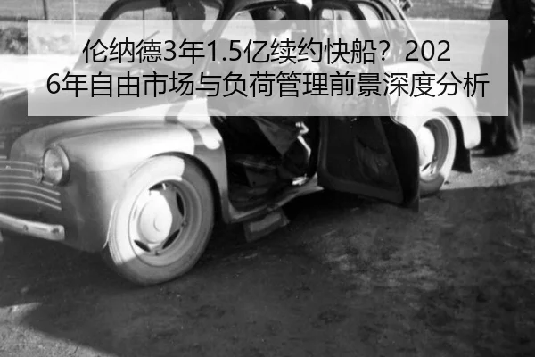 lun-na-de-nian-yi-xu-yue-kuai-chuan-nian-zi-you-shi-chang-yu-fu-he-guan-li-qian-jing-shen-du-fen-xi-2-504.jpg