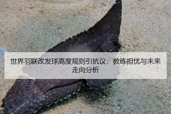 shi-jie-yu-lian-gai-fa-qiu-gao-du-gui-ze-yin-kang-yi-jiao-lian-dan-you-yu-wei-lai-zou-xiang-fen-xi-3-545.jpg